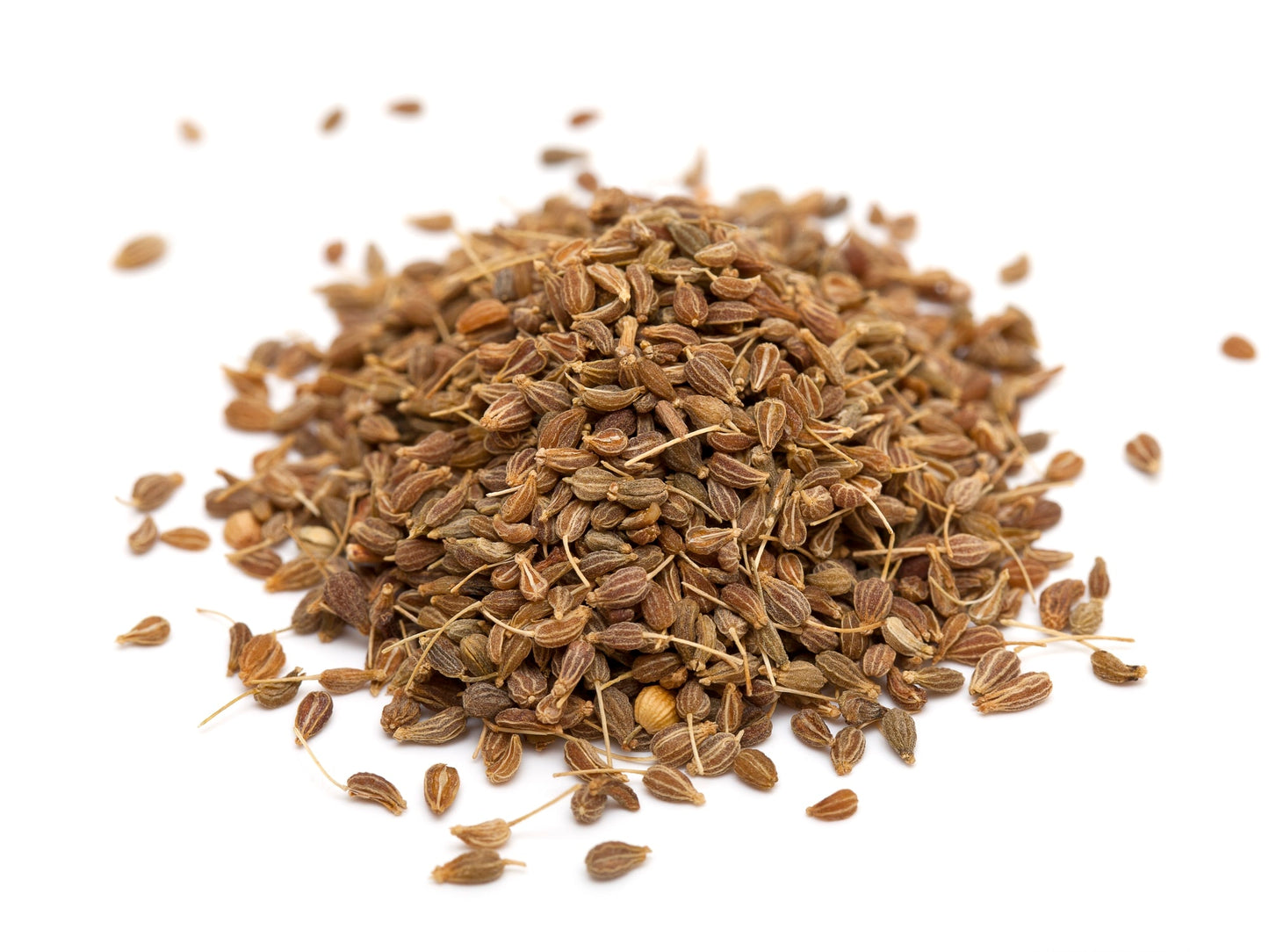 Anise Seeds