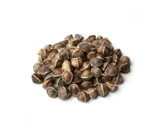 Moringa Seeds